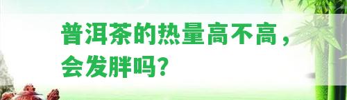 普洱茶的熱量高不高，會(huì)發(fā)胖嗎？