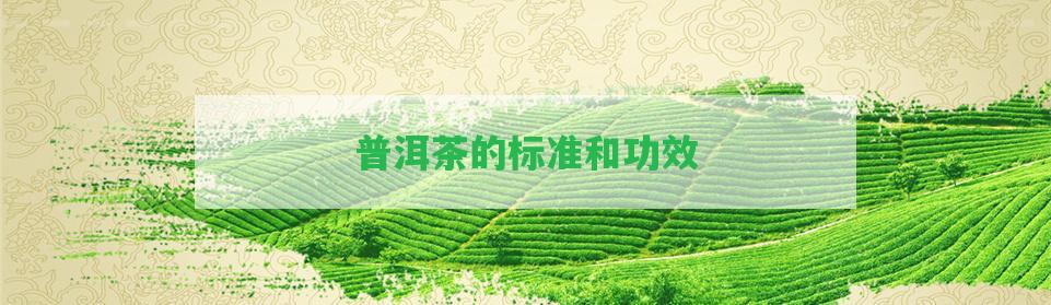 普洱茶的標(biāo)準(zhǔn)和功效