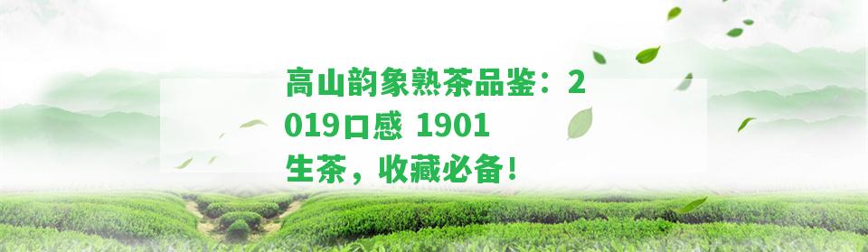 高山韻象熟茶品鑒：2019口感 1901生茶，收藏必備！