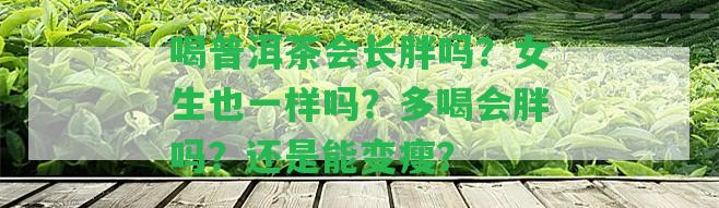 喝普洱茶會長胖嗎？女生也一樣嗎？多喝會胖嗎？還是能變瘦？