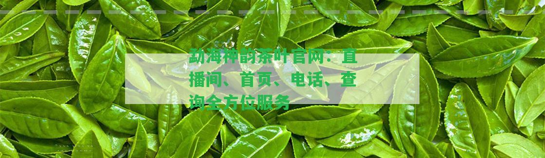 勐海神韻茶葉官網(wǎng)：直播間、首頁、電話、查詢?nèi)轿环?wù)