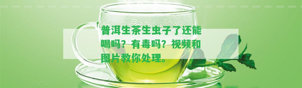 普洱生茶生蟲子了還能喝嗎？有毒嗎？視頻和圖片教你解決。