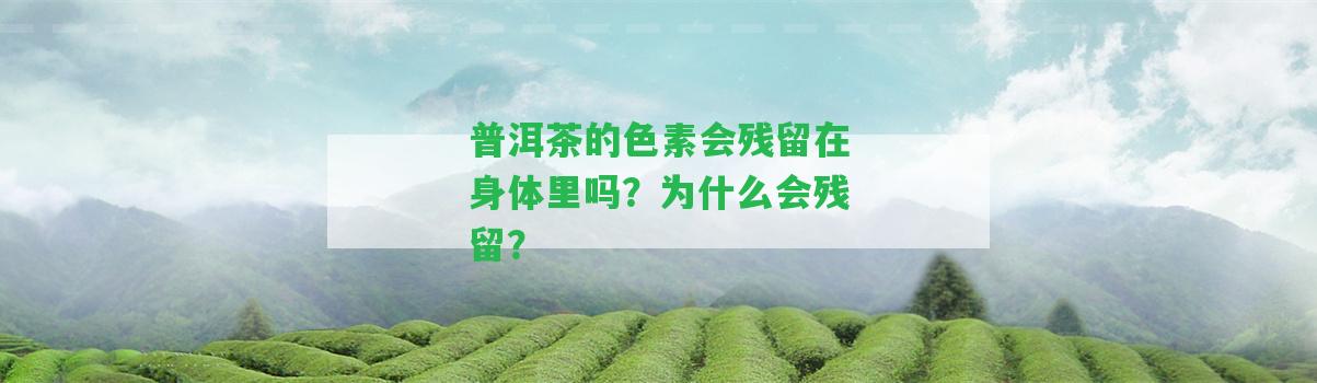 普洱茶的色素會(huì)殘留在身體里嗎？為什么會(huì)殘留？