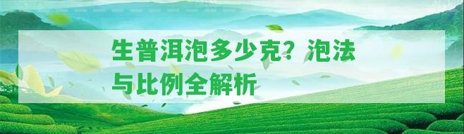 生普洱泡多少克？泡法與比例全解析