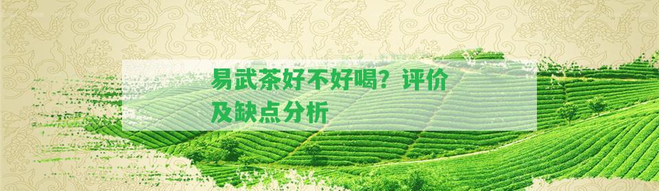 易武茶好不好喝？評價及缺點分析