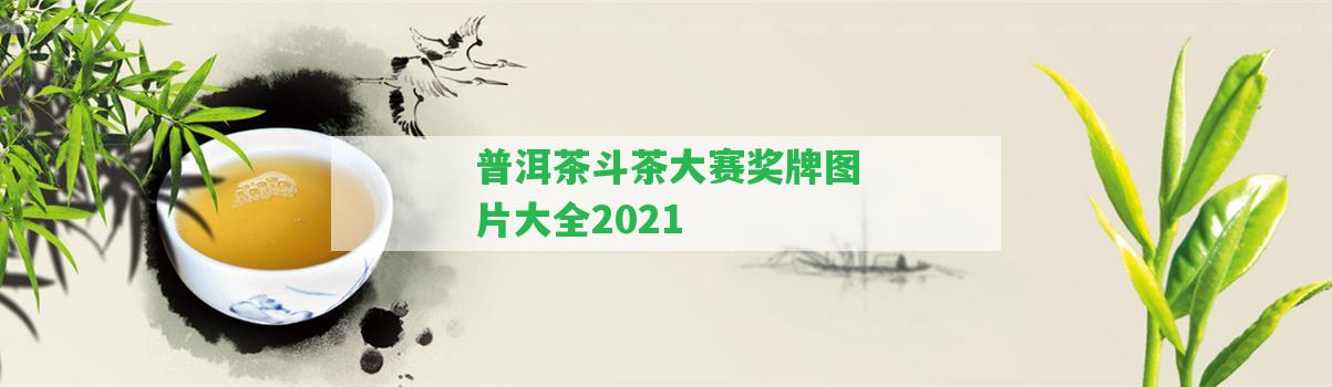 普洱茶斗茶大賽獎牌圖片大全2021