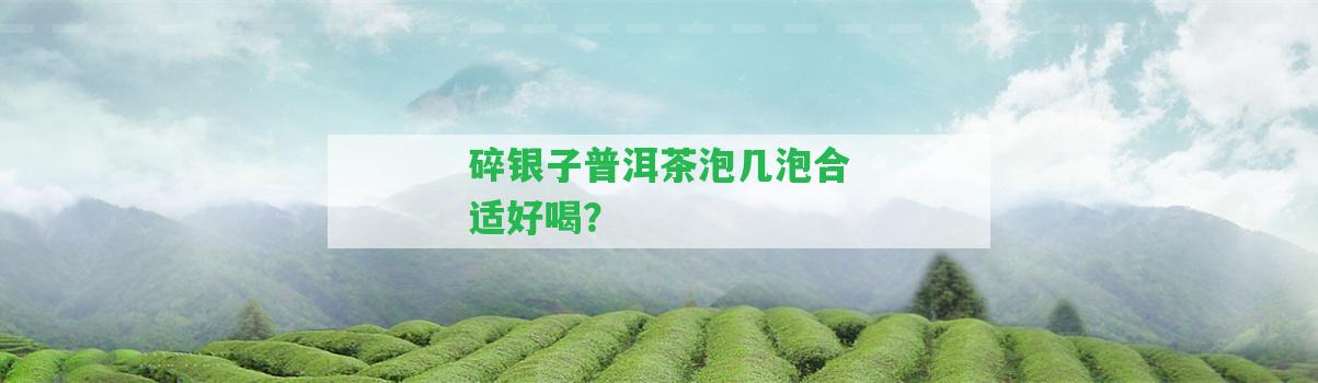 碎銀子普洱茶泡幾泡合適好喝？