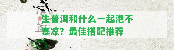 生普洱和什么一起泡不寒涼？最佳搭配推薦