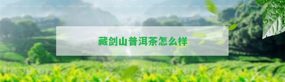 藏劍山普洱茶怎么樣