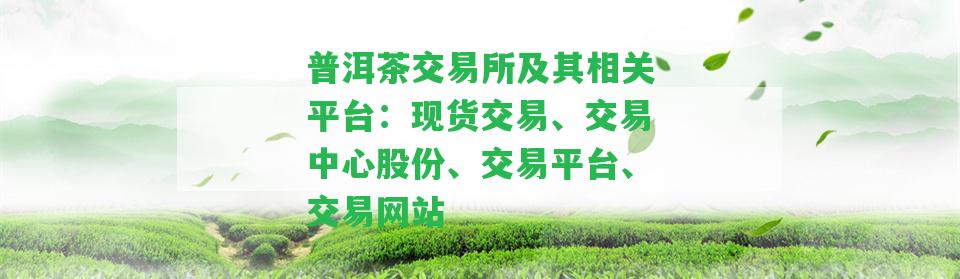 普洱茶交易所及其相關平臺：現(xiàn)貨交易、交易中心股份、交易平臺、交易網(wǎng)站