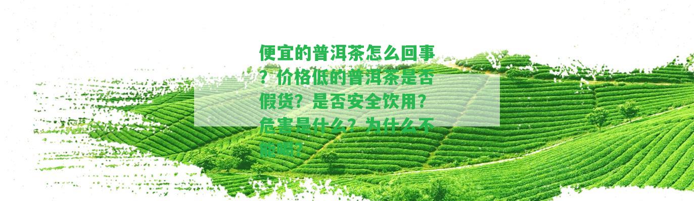 便宜的普洱茶怎么回事？?jī)r(jià)格低的普洱茶是不是假貨？是不是安全飲用？危害是什么？為什么不能喝？