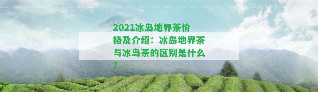 2021冰島地界茶價(jià)格及介紹：冰島地界茶與冰島茶的區(qū)別是什么？