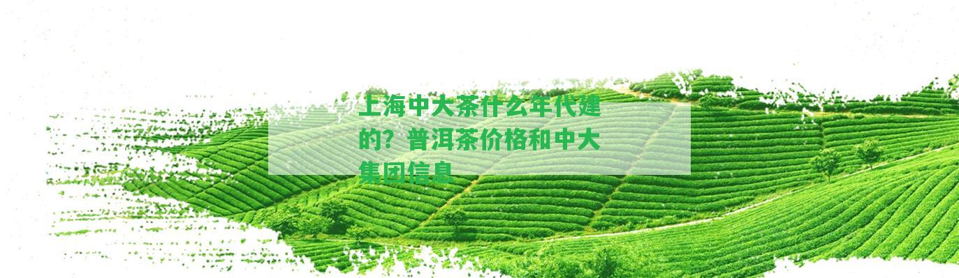 上海中大茶什么年代建的？普洱茶價(jià)格和中大集團(tuán)信息