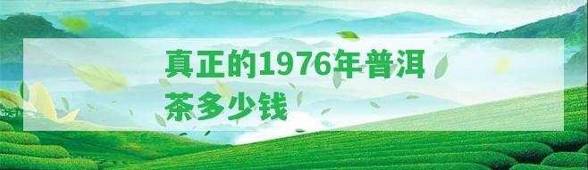 真正的1976年普洱茶多少錢