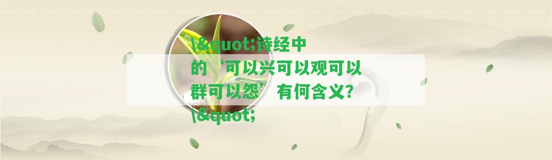 \"詩經中的‘可以興可以觀可以群可以怨’有何含義？\"