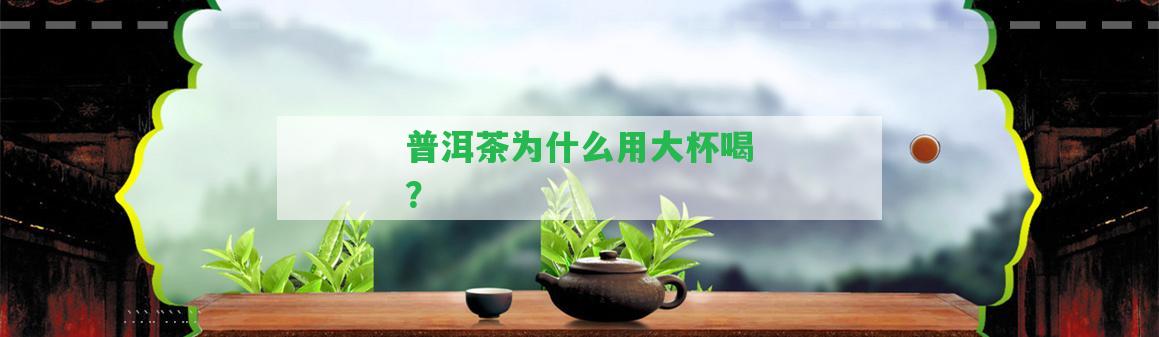 普洱茶為什么用大杯喝？