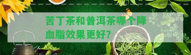 苦丁茶和普洱茶哪個(gè)降血脂效果更好？