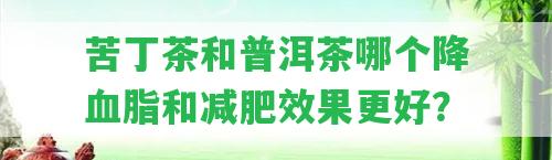 苦丁茶和普洱茶哪個(gè)降血脂和減肥效果更好？