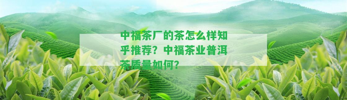 中福茶廠的茶怎么樣知乎推薦？中福茶業(yè)普洱茶品質(zhì)怎樣？