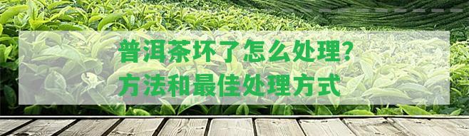 普洱茶壞了怎么解決？方法和最佳解決方法