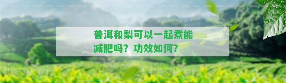 普洱和梨可以一起煮能減肥嗎？功效怎樣？