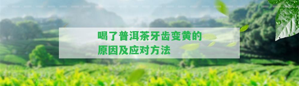 喝了普洱茶牙齒變黃的起因及應對方法