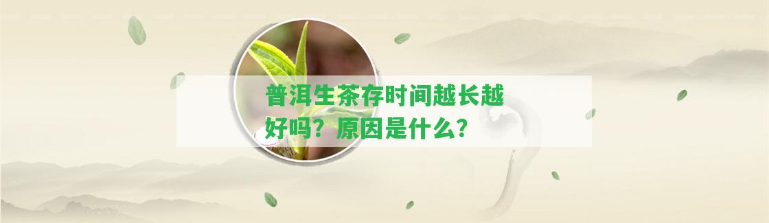 普洱生茶存時間越長越好嗎？起因是什么？