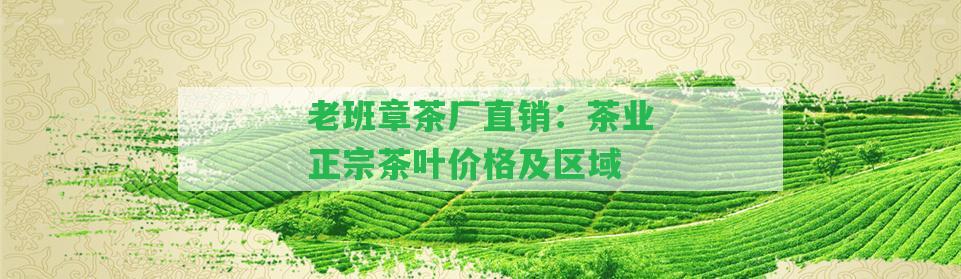 老班章茶廠直銷：茶業(yè)正宗茶葉價格及區(qū)域