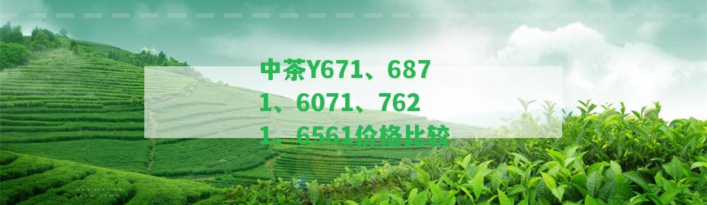 中茶Y671、6871、6071、7621、6561價(jià)格比較