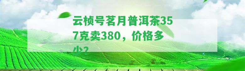 云楨號茗月普洱茶357克賣380，價格多少？