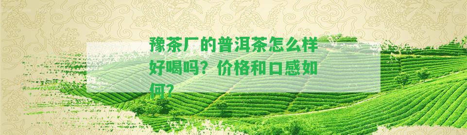 豫茶廠的普洱茶怎么樣好喝嗎？價格和口感怎樣？