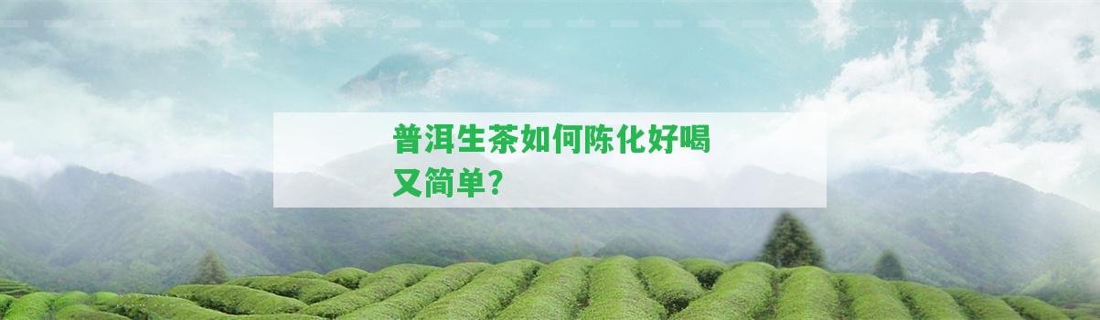 普洱生茶怎樣陳化好喝又簡單？