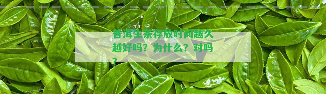 普洱生茶存放時(shí)間越久越好嗎？為什么？對(duì)嗎？