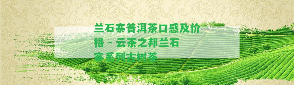 蘭石寨普洱茶口感及價(jià)格 - 云茶之邦蘭石寨系列古樹(shù)茶