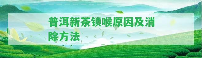 普洱新茶鎖喉起因及消除方法