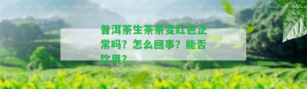 普洱茶生茶茶變紅色正常嗎？怎么回事？能否飲用？