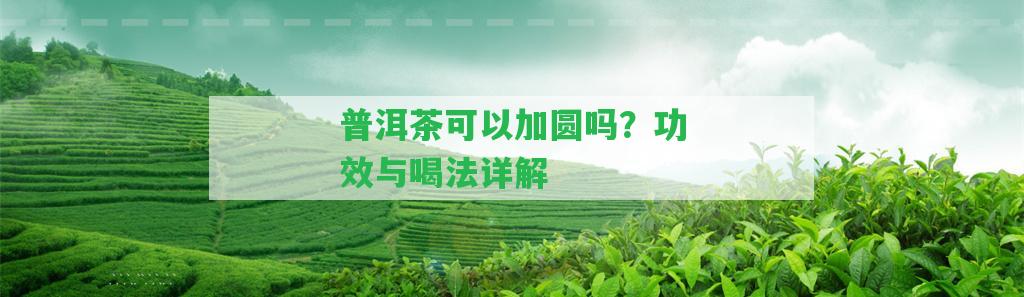 普洱茶可以加圓嗎？功效與喝法詳解