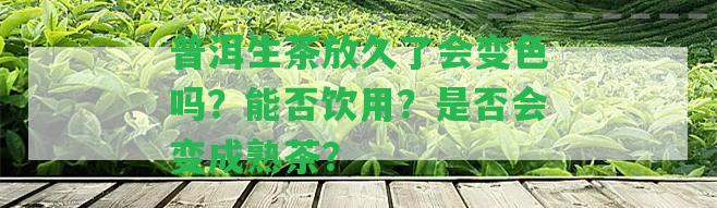 普洱生茶放久了會變色嗎？能否飲用？是不是會變成熟茶？