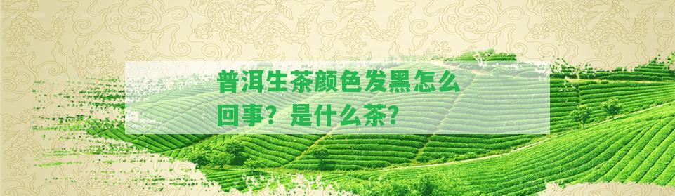 普洱生茶顏色發(fā)黑怎么回事？是什么茶？