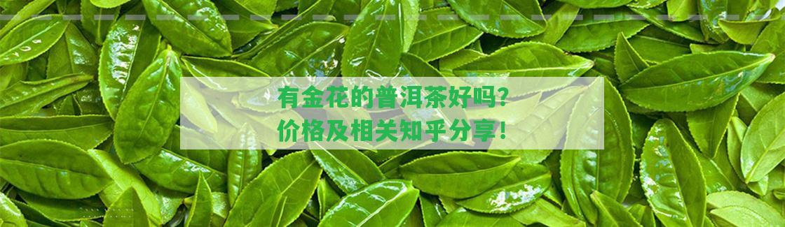 有金花的普洱茶好嗎？?jī)r(jià)格及相關(guān)知乎分享！