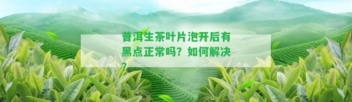 普洱生茶葉片泡開后有黑點正常嗎？怎樣解決？