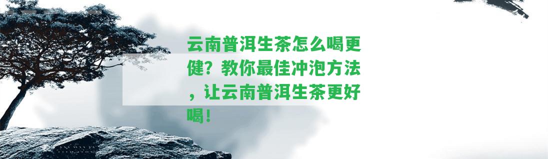 云南普洱生茶怎么喝更健？教你最佳沖泡方法，讓云南普洱生茶更好喝！