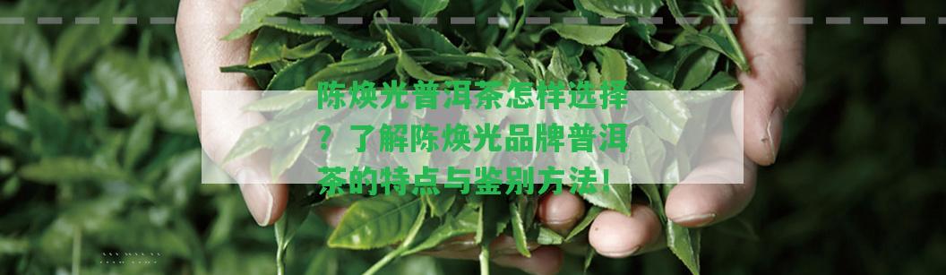 陳煥光普洱茶怎樣選擇？熟悉陳煥光品牌普洱茶的特點(diǎn)與鑒別方法！