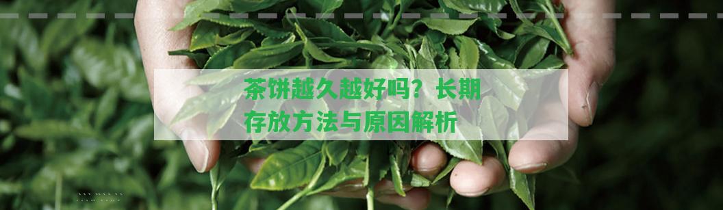 茶餅越久越好嗎？長期存放方法與起因解析