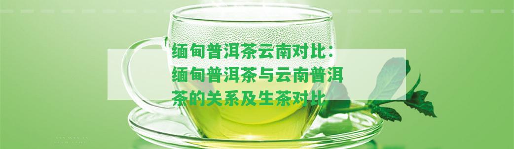 緬甸普洱茶云南對比：緬甸普洱茶與云南普洱茶的關(guān)系及生茶對比