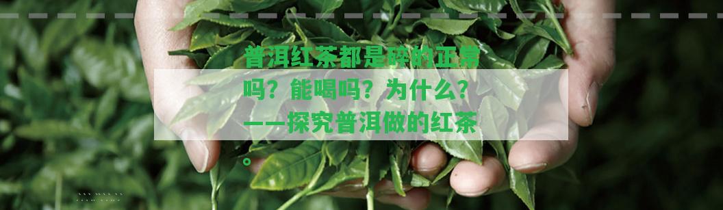 普洱紅茶都是碎的正常嗎？能喝嗎？為什么？——探究普洱做的紅茶。