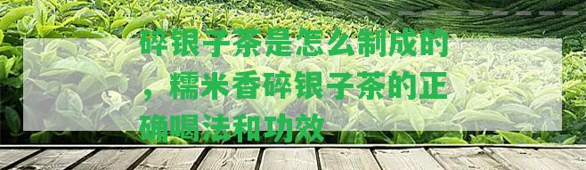 碎銀子茶是怎么制成的，糯米香碎銀子茶的正確喝法和功效