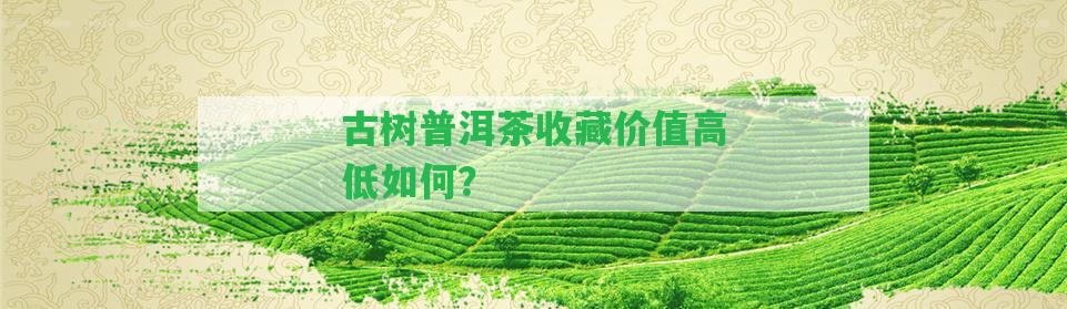 古樹(shù)普洱茶收藏價(jià)值高低怎樣？