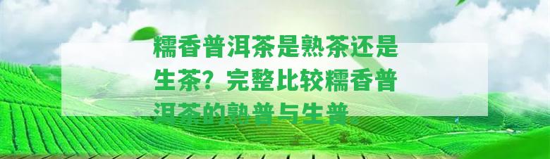 糯香普洱茶是熟茶還是生茶？完整比較糯香普洱茶的熟普與生普。