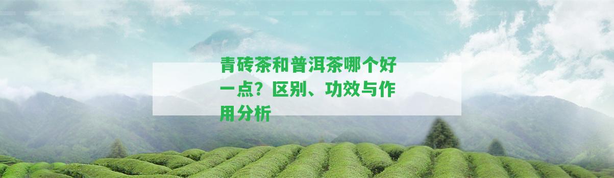 青磚茶和普洱茶哪個(gè)好一點(diǎn)？區(qū)別、功效與作用分析